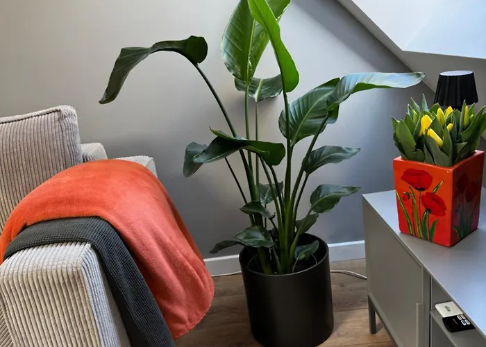 Apartament Fyrtel Poznań